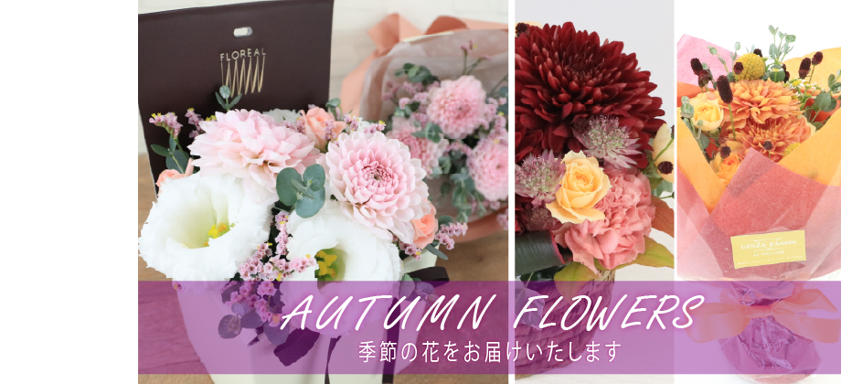 今月の花