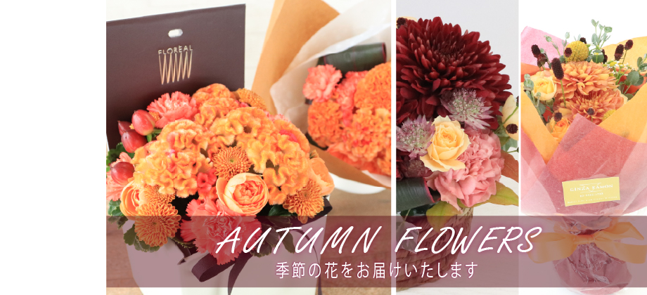 今月の花
