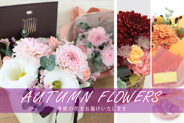 今月の花