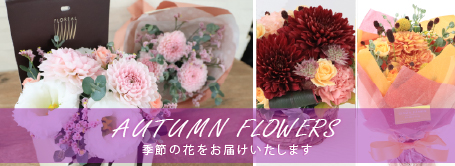 今月の花