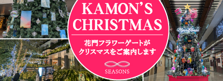 クリスマス装飾