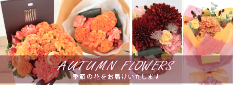 今月の花